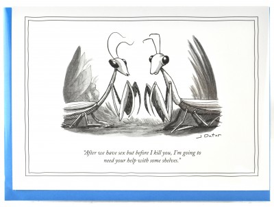New Yorker Card - After we have Sex