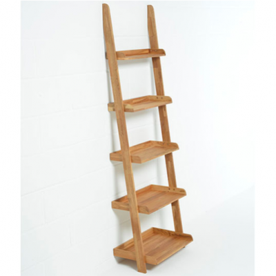 Lean-O Ladder Shelves