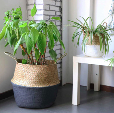 decorative seagrass basket rattan storage basket 2 two tone painted laundry basket woven hong kong home essential hk central  home decor