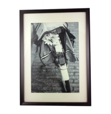 Bicycle black white photo